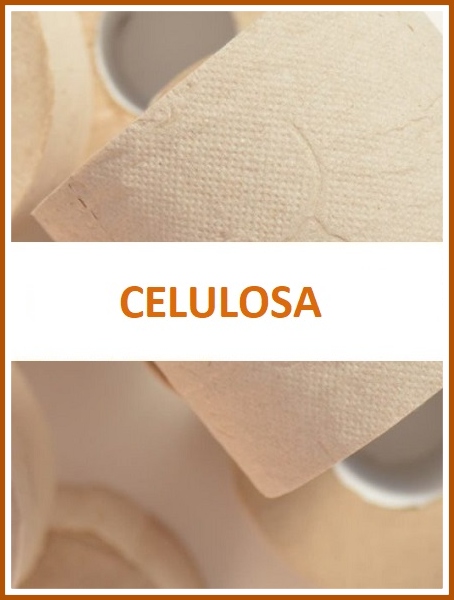 CELULOSA
