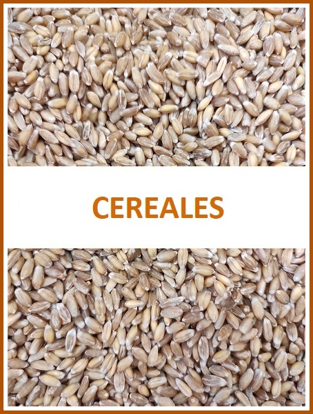 CEREALES 