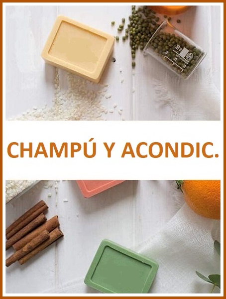 CHAMPÚS Y ACONDICIONADORES