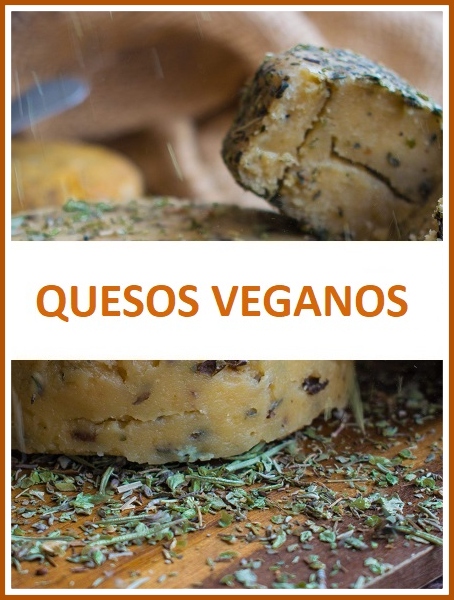 QUESOS VEGANOS