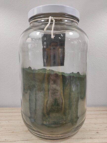 ESPIRULINA VERDE EN POLVO (CHINA)