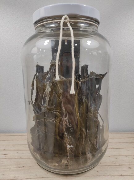 ALGA KOMBU EN HOJAS DESHIDRATADA (ESPAÑA)