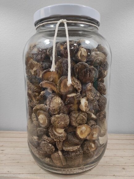 SHIITAKE DESHIDRATADO (JAPÓN Y CHINA)