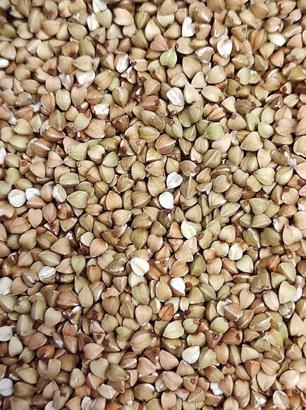 TRIGO SARRACENO EN GRANO - ALFORFÓN EN GRANO (ITALIA - POLONIA - CHINA) - ECO