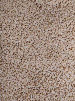 COUS COUS TRIGO BLANCO (ITALIA)