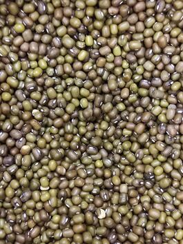 SOJA VERDE - JUDÍA MUNGO a granel (BOLIVIA)