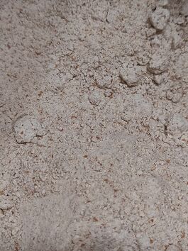 HARINA DE ESPELTA INTEGRAL A LA PIEDRA PANIFICABLE (ITALIA) ECO