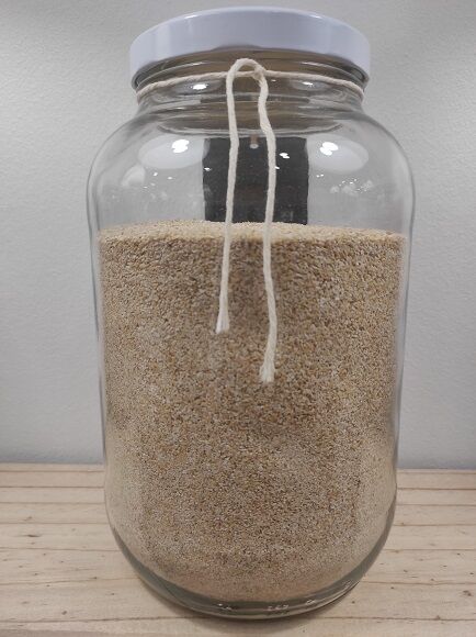 SALVADO DE AVENA (ESPAÑA)