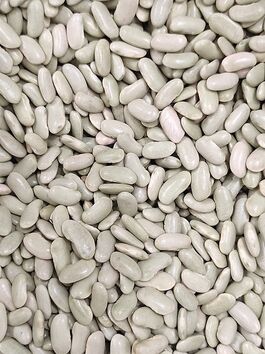 JUDÍA ALUBIA VERDINA EXTRA a granel (ASTURIAS Y GALICIA)