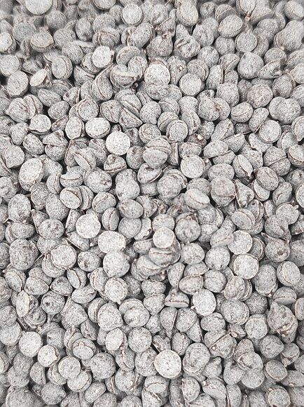 CHIPS DE CHOCOLATE NEGRO XS - PARA COOKIES (BELGICA)