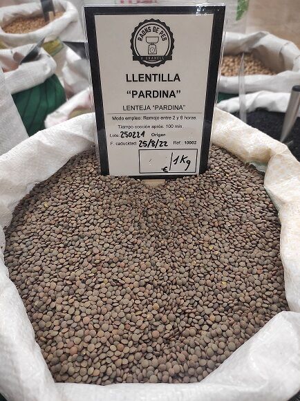 LENTEJA PARDINA (ESPAÑA)