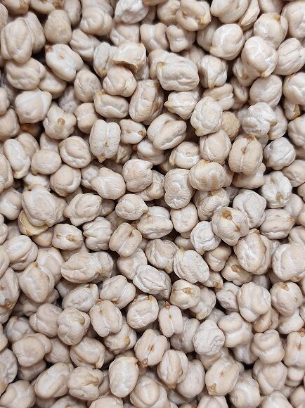 GARBANZO LECHOSO FINO (ANDALUCIA - CASTILLA Y LEÓN)