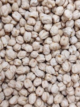 GARBANZO LECHOSO a granel (ANDALUCIA - CASTILLA Y LEÓN)