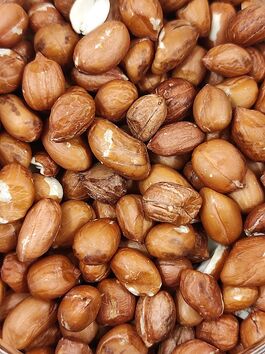 CACAHUETE CRUDO MONDADO CON PIEL a granel (BRASIL)