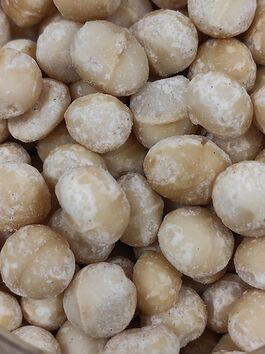 NUECES DE MACADAMIA CRUDAS STYLE 0 a granel (SUDÁFRICA)