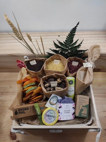 CESTA ALIMENTACIÓN Y COSMÉTICA Nº 0001 (SILLA)