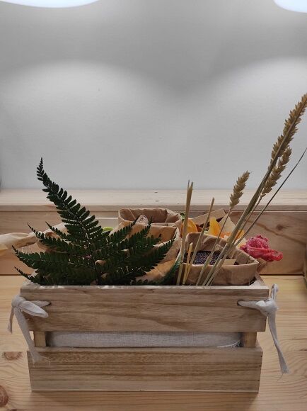 CESTA ALIMENTACIÓN Y COSMÉTICA Nº 0001 (SILLA)