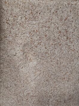 HARINA DE TRIGO INTEGRAL PANIFICABLE A LA PIEDRA (EUROPA) ECO