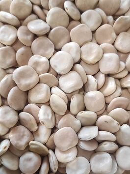 ALTRAMUCES SECOS a granel (ESPAÑA)