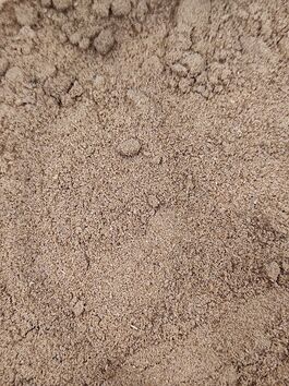 CILANTRO MOLIDO - CORIANDRUM SATIVUM a granel (XXXXX)