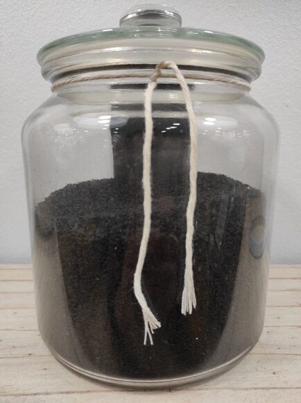 COMINO NEGRO EN GRANO (INDIA)