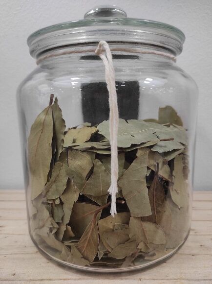LAUREL HOJA (ESPAÑA)