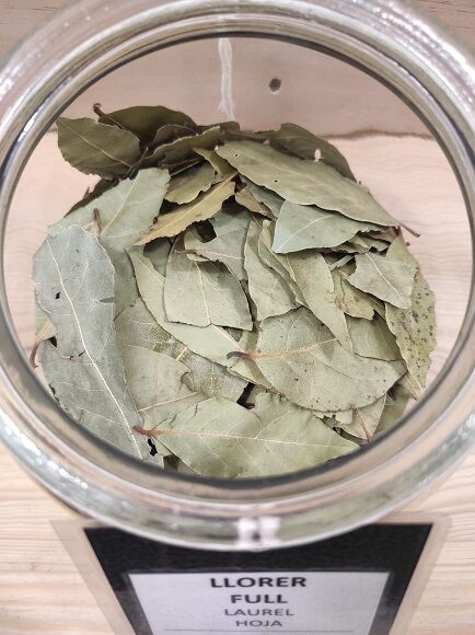 LAUREL HOJA (ESPAÑA)