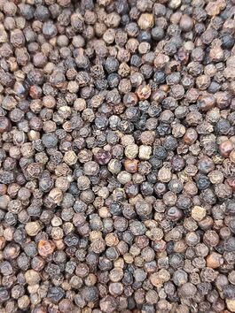 PIMIENTA NEGRA GRANO (INDIA)