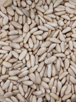 PIÑONES GRUESOS NACIONALES a granel (ESPAÑA)