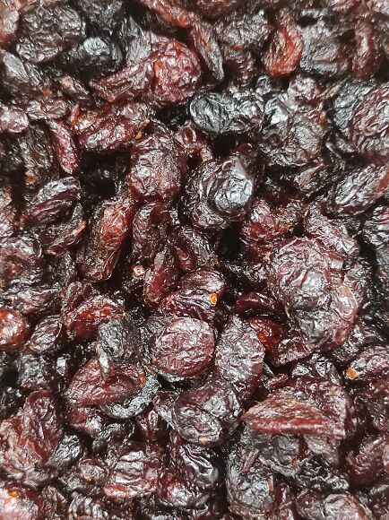 ARÁNDANOS DESHIDRATADOS SIN AZÚCAR CON ZUMO MANZ. CONCENTRADO (CANADÁ)