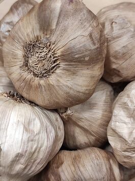 CABEZAS DE AJO NEGRO a granel (ESPAÑA)