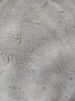 CALDO DE VERDURAS DESHIDRATADO EN POLVO a granel (ESPAÑA)