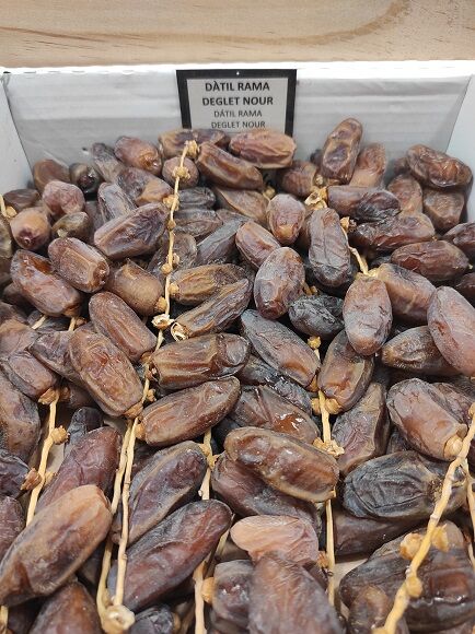 DÁTIL SIN RAMA DEGLET NOUR NATURAL SIN AZÚCAR (TUNEZ)