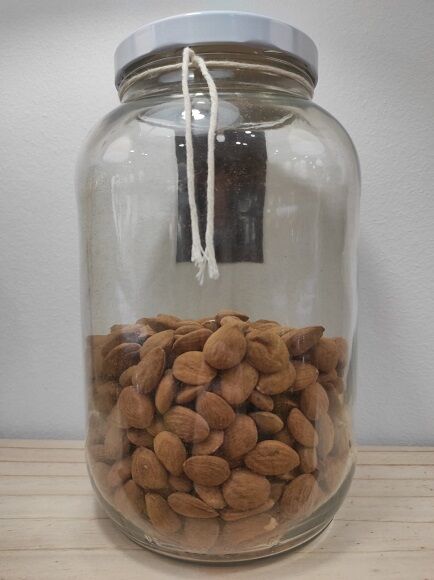 ALMENDRA CRUDA PELADA MARCONA (ESPAÑA)