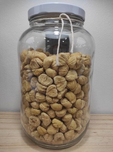 CASTAÑA PILONGA SECA (ESPAÑA)