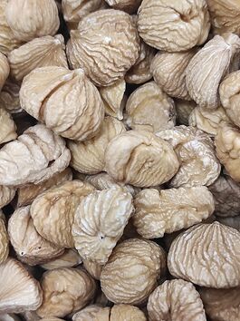 CASTAÑA PILONGA SECA EXTRA a granel (ESPAÑA)