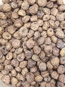 CHUFA GRANZA SECA D.O. a granel (ALBORAYA VALENCIA)