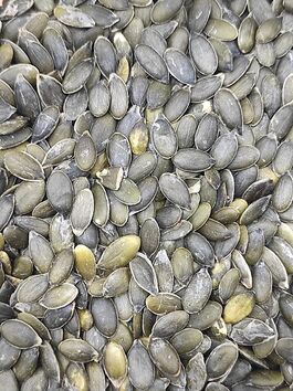 PIPA DE CALABAZA CRUDA PELADA - SEMILLA DE CALABAZA CRUDA PELADA a granel (CHINA)