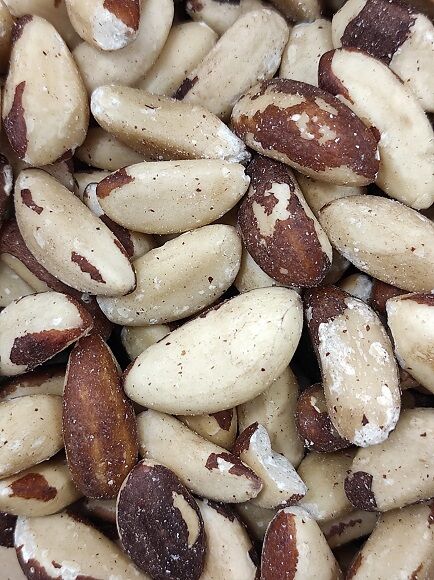 NUECES DE BRASIL CRUDAS - COQUITO MONDADO (BOLIVIA)