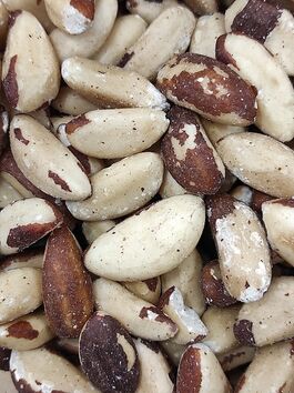 NUECES DE BRASIL CRUDAS - COQUITO MONDADO a granel (BOLIVIA)