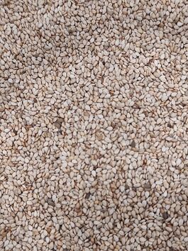 SEMILLAS DE SÉSAMO TOSTADO - AJONJOLÍ a granel (ARGENTINA)