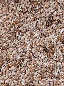 SEMILLAS DE LINO MARRÓN (POLONIA)