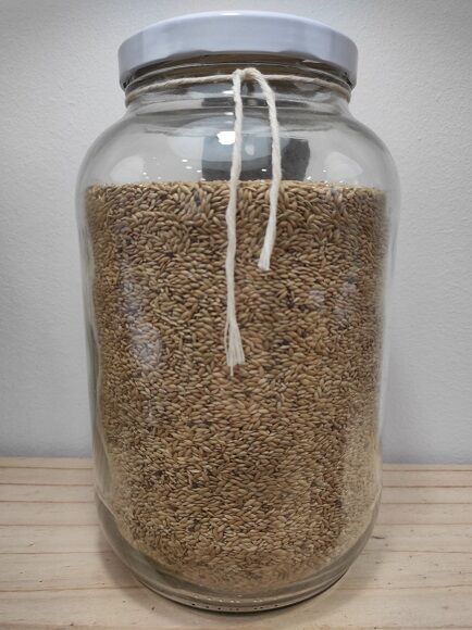 SEMILLAS ALPISTE (ESPAÑA)