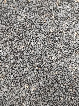 SEMILLAS DE SÉSAMO NEGRO (ORIENTE MEDIO - INDIA)