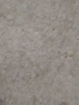 SAL ESCAMAS NATURAL - SAL MALDON (PAKISTÁN)