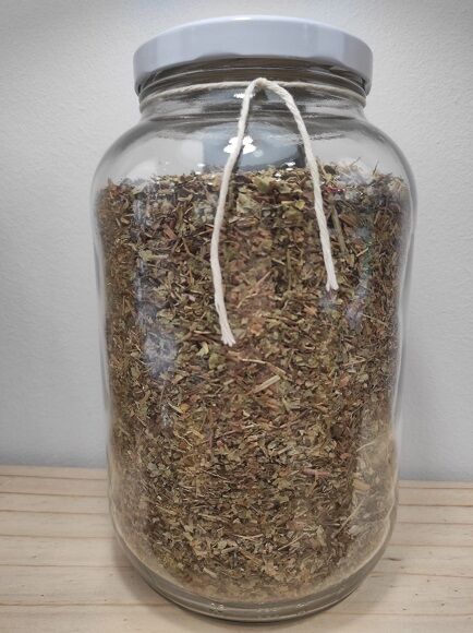 DIENTE DE LEÓN HOJA CORTADA (BULGARIA)