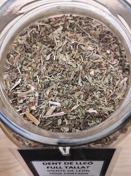 DIENTE DE LEÓN HOJA CORTADA (BULGARIA)