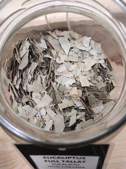 EUCALIPTO HOJA CORTADA - SIN GLUTEN (ESPAÑA)