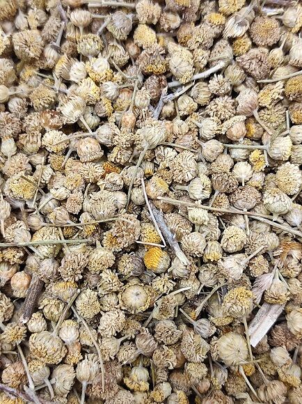 MANZANILLA AMARGA DE MAHON (ESPAÑA)