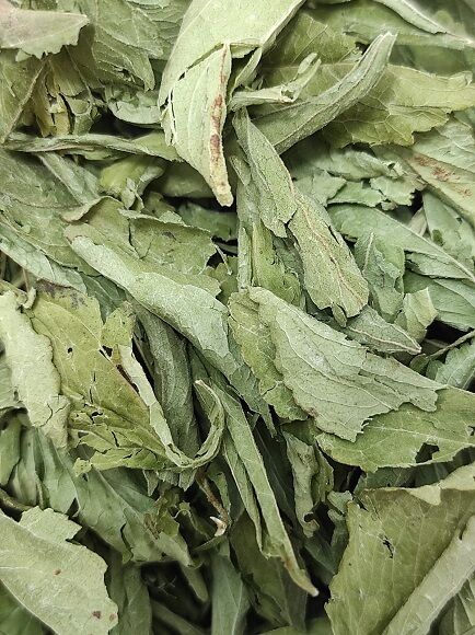 ESTEVIA HOJA TRITURADA (PARAGUAY)